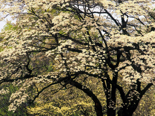 27469 (a): :1600x1200